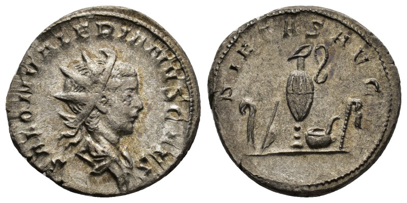 Řím - Saloninus, jako Caesar 258-260 n. l. (Saloninus, jako Caesar 258-260 n. l. Lugdunum)