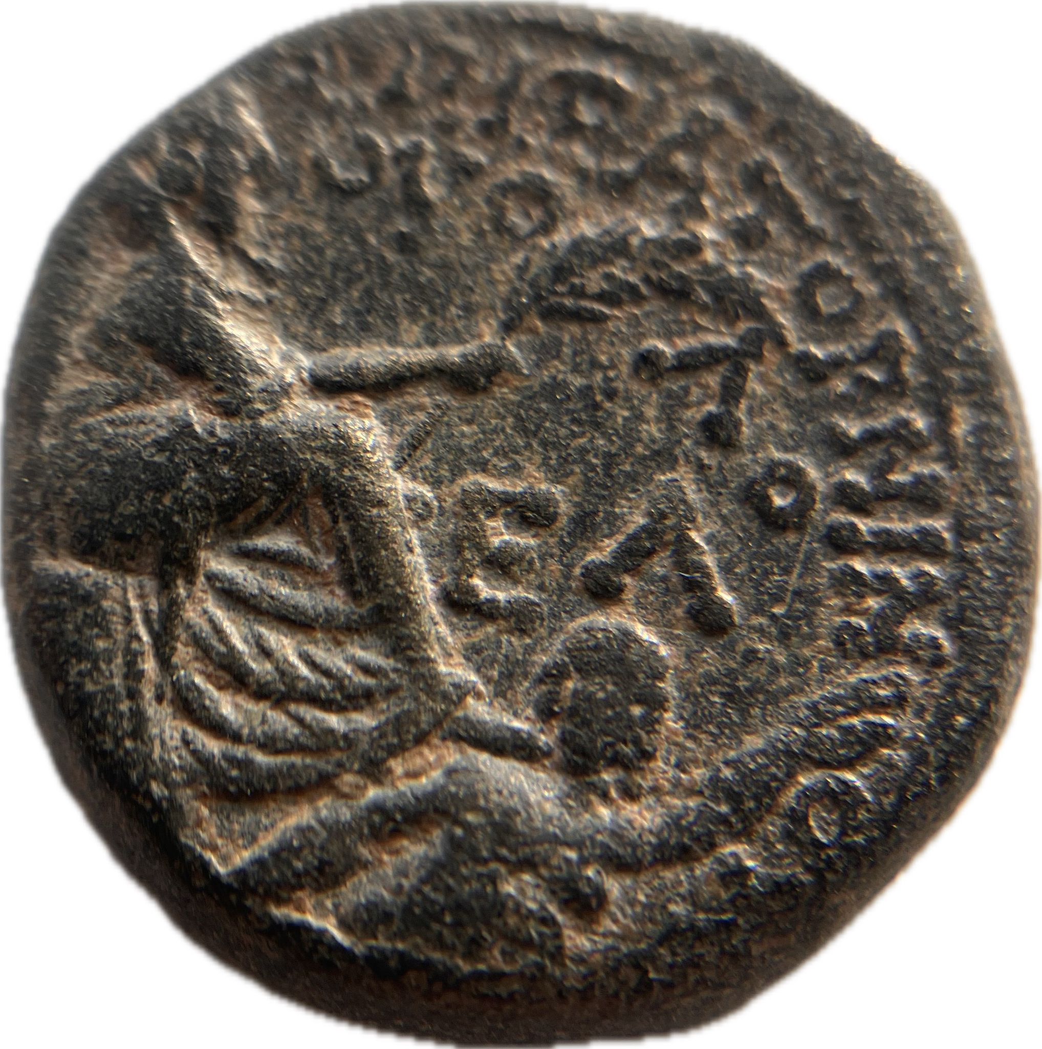 Legatus P. Quinctilius VARUS (7/6 BCE) ? Trichalkon, Antiochia. Zeus, Tyche